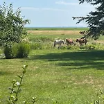 An Den Boddenwiesen *